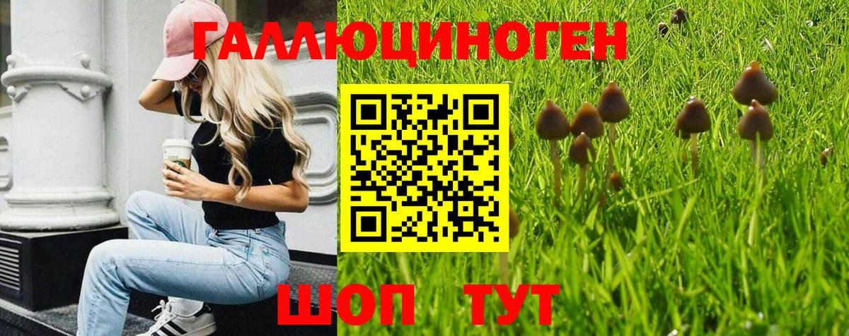 где продают наркотики  Галлюциногенные грибы Psilocybine cubensis  Галлюциногенные грибы Cubensis  Вход с VPN  Коряжма 